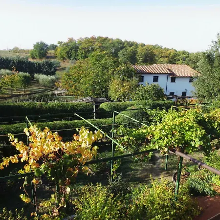 Holiday home With Privat Garden Montegabbione